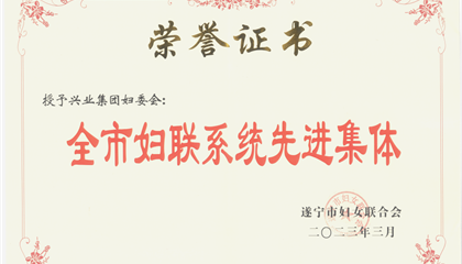 喜報！興業(yè)集團婦委會榮獲“全市婦聯(lián)系統(tǒng)先進集體”榮譽稱號
